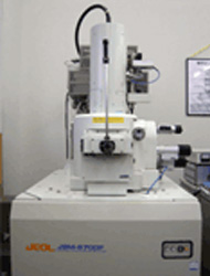 電界放出型走査電子顕微鏡（FE-SEM）
