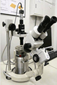 原子間力顕微鏡（走査プローブ顕微鏡）