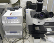光学顕微鏡用雰囲気高温加熱装置兼ビッカース硬さ試験装置