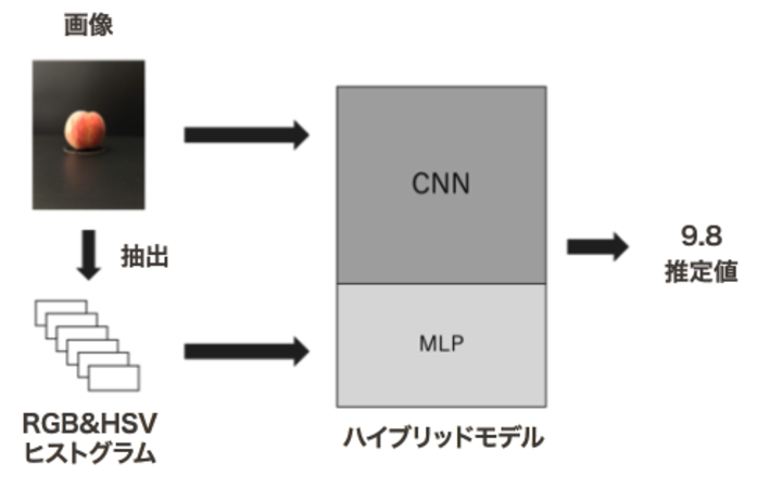 糖度推定処理の流れ