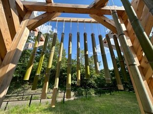 20250806-01-05.jpg